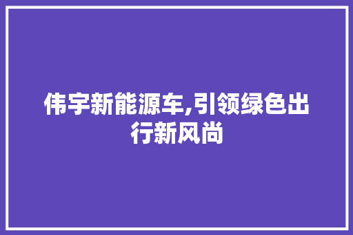 伟宇新能源车,引领绿色出行新风尚