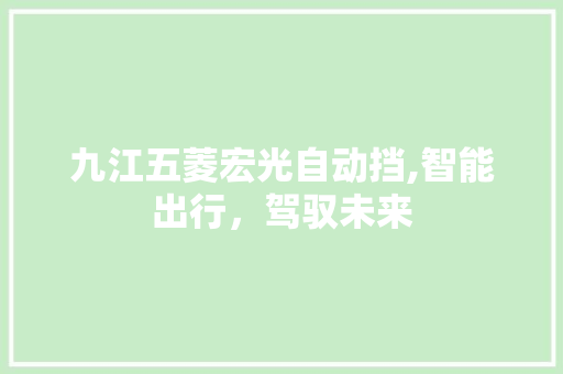 九江五菱宏光自动挡,智能出行，驾驭未来