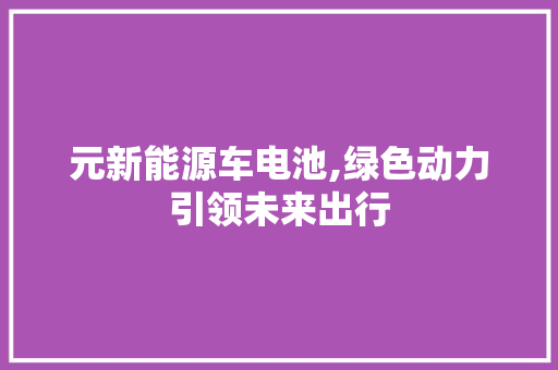 元新能源车电池,绿色动力引领未来出行 智能驾驶