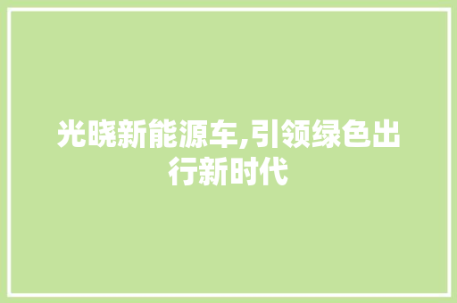 光晓新能源车,引领绿色出行新时代