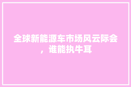 全球新能源车市场风云际会，谁能执牛耳