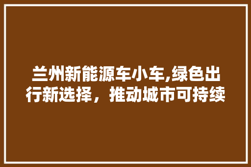兰州新能源车小车,绿色出行新选择，推动城市可持续发展 智能驾驶