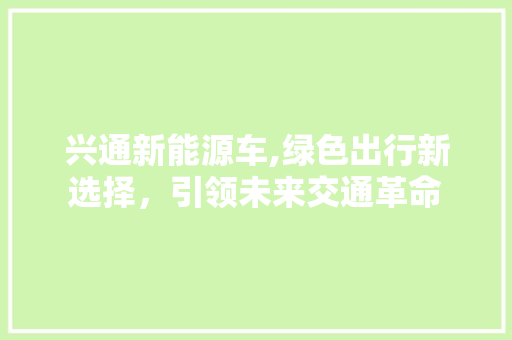 兴通新能源车,绿色出行新选择，引领未来交通革命