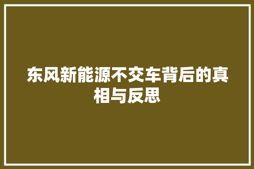 东风新能源不交车背后的真相与反思
