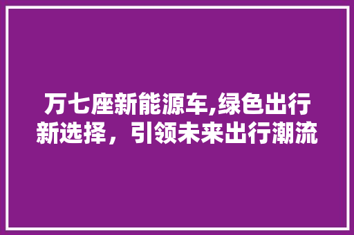 万七座新能源车,绿色出行新选择，引领未来出行潮流