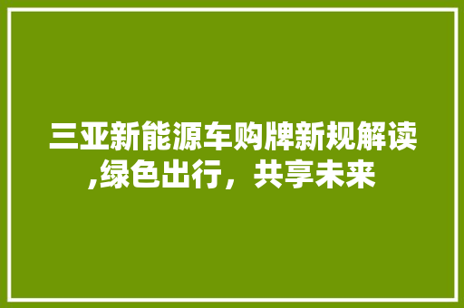 三亚新能源车购牌新规解读,绿色出行，共享未来
