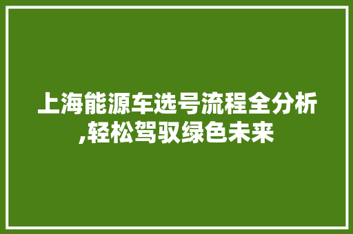 上海能源车选号流程全分析,轻松驾驭绿色未来 汽车展览