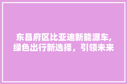 东昌府区比亚迪新能源车,绿色出行新选择，引领未来交通潮流 智能驾驶