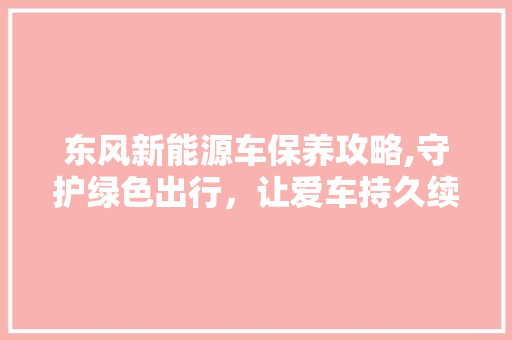 东风新能源车保养攻略,守护绿色出行，让爱车持久续航 智能驾驶