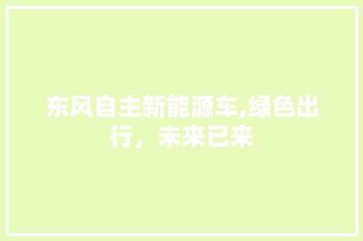 东风自主新能源车,绿色出行，未来已来