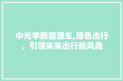 中光学新能源车,绿色出行，引领未来出行新风尚