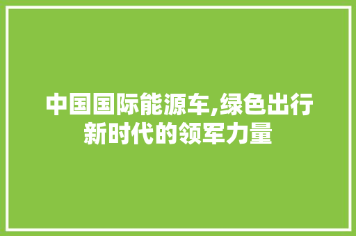 中国国际能源车,绿色出行新时代的领军力量