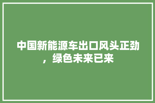 中国新能源车出口风头正劲，绿色未来已来