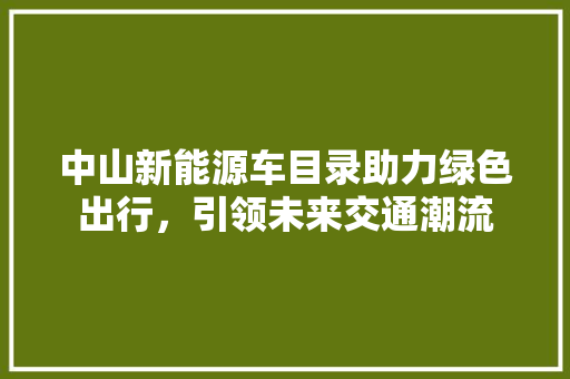 中山新能源车目录助力绿色出行，引领未来交通潮流