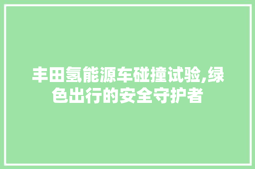 丰田氢能源车碰撞试验,绿色出行的安全守护者