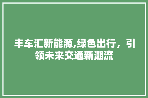 丰车汇新能源,绿色出行，引领未来交通新潮流 车载导航