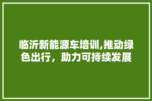 临沂新能源车培训,推动绿色出行，助力可持续发展 混合动力车