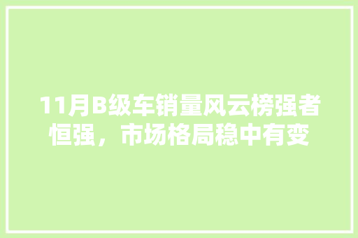 11月B级车销量风云榜强者恒强，市场格局稳中有变 自动驾驶
