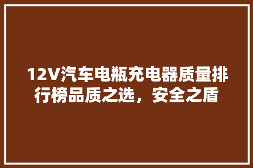 12V汽车电瓶充电器质量排行榜品质之选，安全之盾