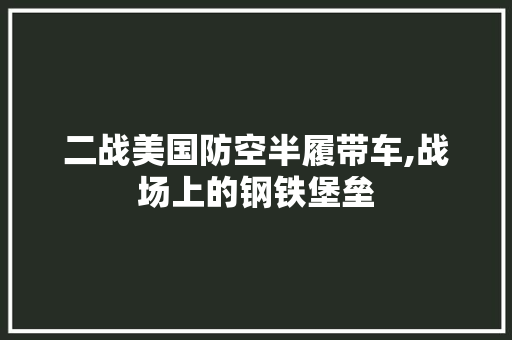 二战美国防空半履带车,战场上的钢铁堡垒