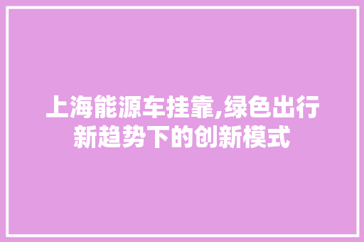 上海能源车挂靠,绿色出行新趋势下的创新模式 汽车保养