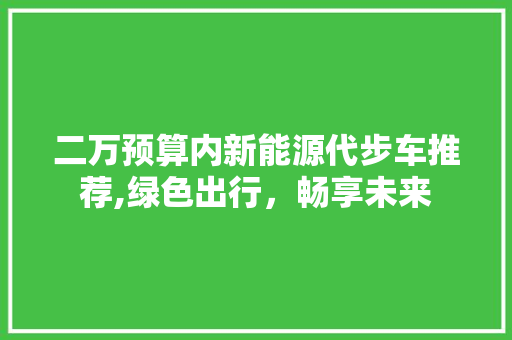 二万预算内新能源代步车推荐,绿色出行，畅享未来