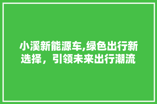 小溪新能源车,绿色出行新选择，引领未来出行潮流