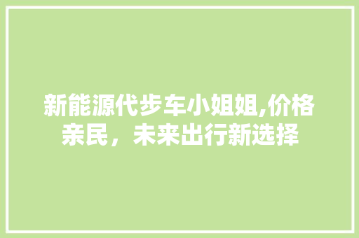 新能源代步车小姐姐,价格亲民，未来出行新选择