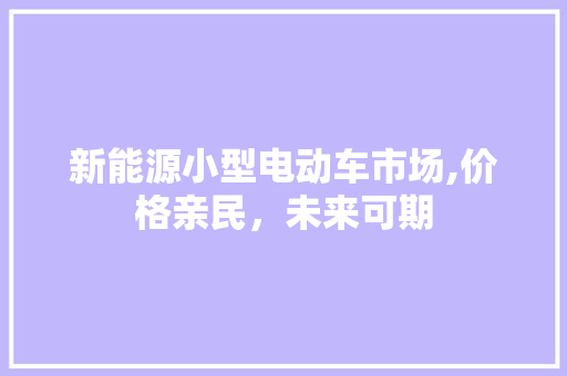 新能源小型电动车市场,价格亲民，未来可期