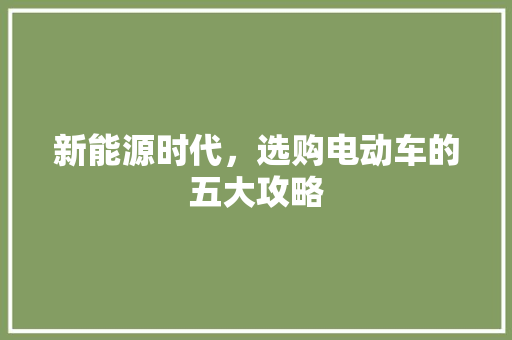 新能源时代，选购电动车的五大攻略
