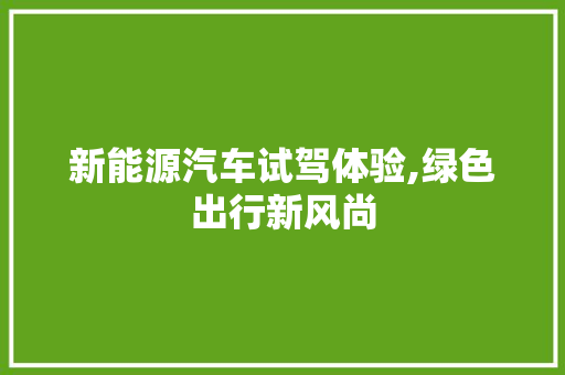 新能源汽车试驾体验,绿色出行新风尚