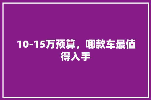 10-15万预算，哪款车最值得入手