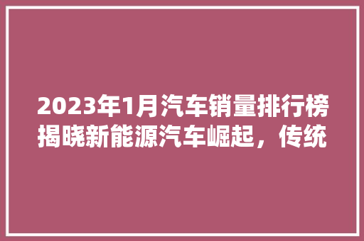 2023年1月汽车销量排行榜揭晓新能源汽车崛起，传统车企面临挑战 车型评测