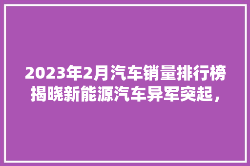 2023年2月汽车销量排行榜揭晓新能源汽车异军突起，传统车企面临挑战 车载导航