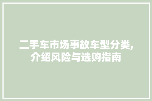 二手车市场事故车型分类,介绍风险与选购指南 汽车展览