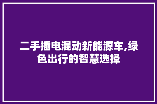 二手插电混动新能源车,绿色出行的智慧选择