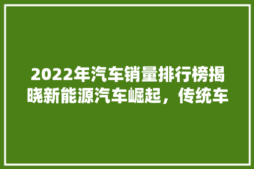 2022年汽车销量排行榜揭晓新能源汽车崛起，传统车企转型加速 新能源汽车