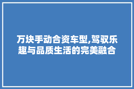 万块手动合资车型,驾驭乐趣与品质生活的完美融合
