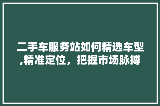 二手车服务站如何精选车型,精准定位，把握市场脉搏