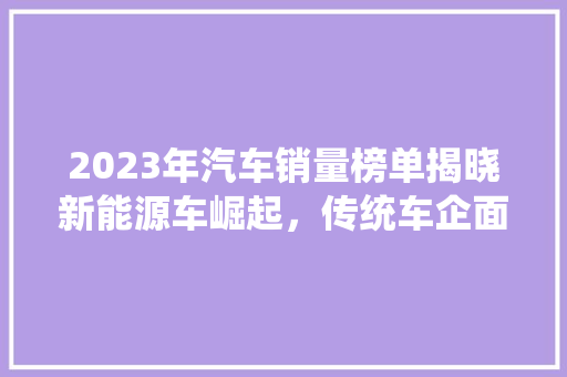 2023年汽车销量榜单揭晓新能源车崛起，传统车企面临挑战