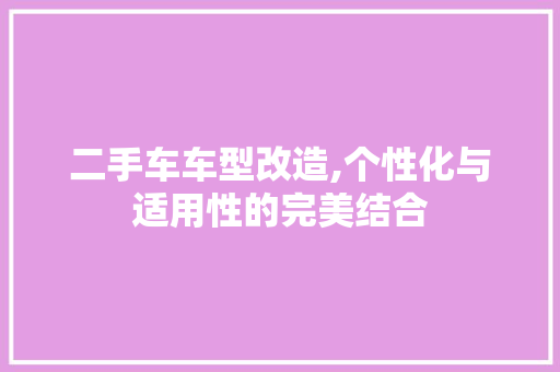 二手车车型改造,个性化与适用性的完美结合 混合动力车