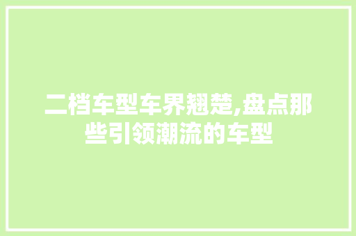二档车型车界翘楚,盘点那些引领潮流的车型
