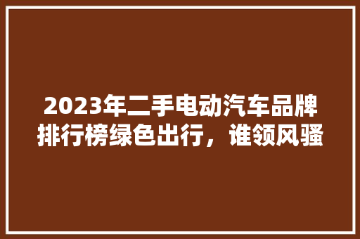 2023年二手电动汽车品牌排行榜绿色出行，谁领风骚