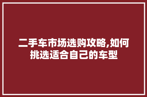 二手车市场选购攻略,如何挑选适合自己的车型