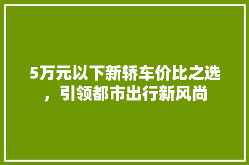 5万元以下新轿车价比之选，引领都市出行新风尚