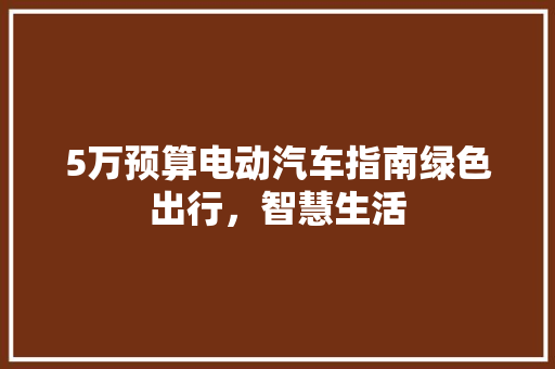 5万预算电动汽车指南绿色出行，智慧生活 新能源汽车