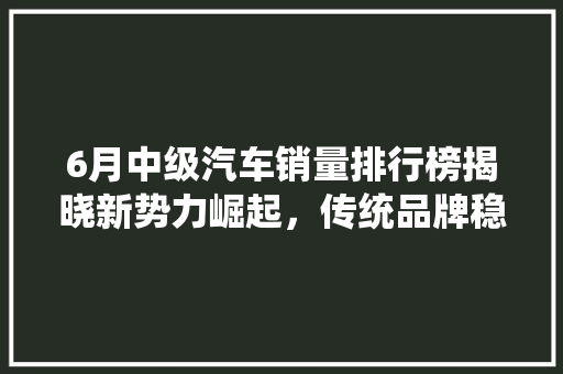 6月中级汽车销量排行榜揭晓新势力崛起，传统品牌稳扎稳打