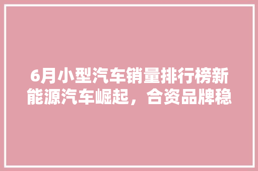 6月小型汽车销量排行榜新能源汽车崛起，合资品牌稳居前列 汽车展览