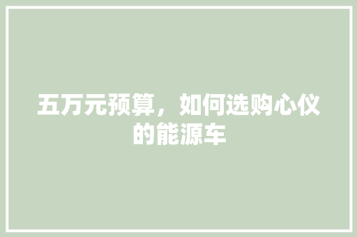 五万元预算，如何选购心仪的能源车