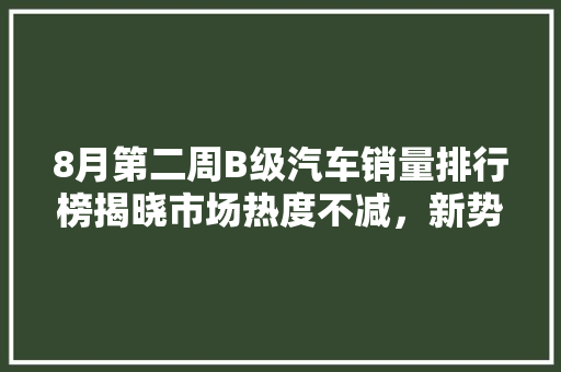 8月第二周B级汽车销量排行榜揭晓市场热度不减，新势力品牌异军突起 车载导航